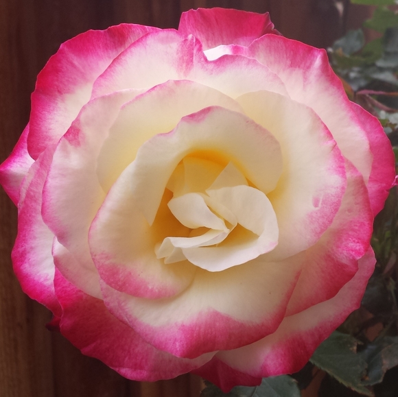 Reasonable Offers Welcome π¦ - Picture 3 of 7